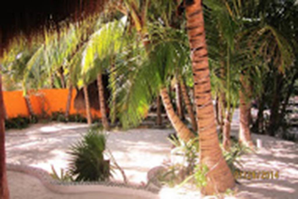 Retiro Maya ตูลุม ภายนอก รูปภาพ
